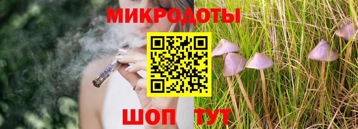 Гатчина  Псилоцибиновые грибы GOLDEN TEACHER  Вход с VPN 