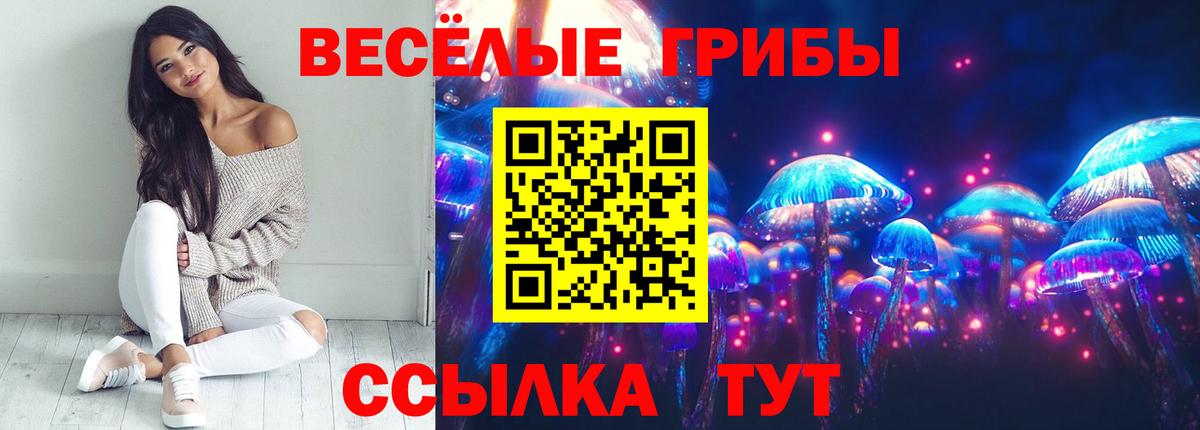 Псилоцибиновые грибы мухоморы Гатчина