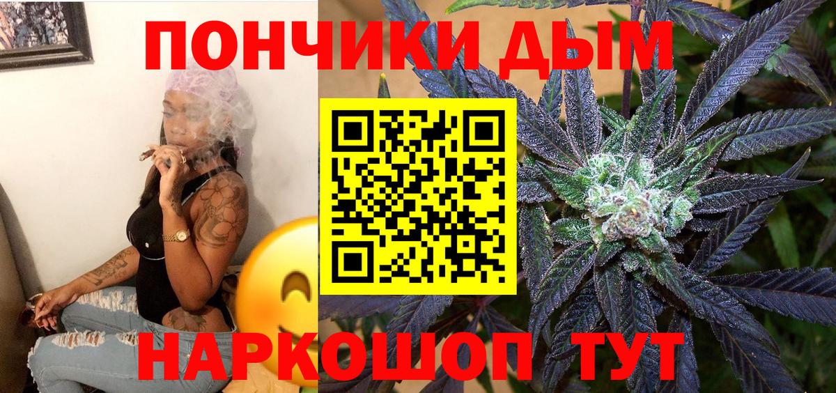 Марихуана сатива Гатчина